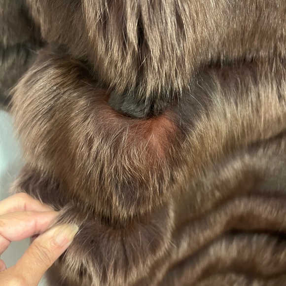 Beautiful “ REAL”brown fox with hood - Picture 3 of 10